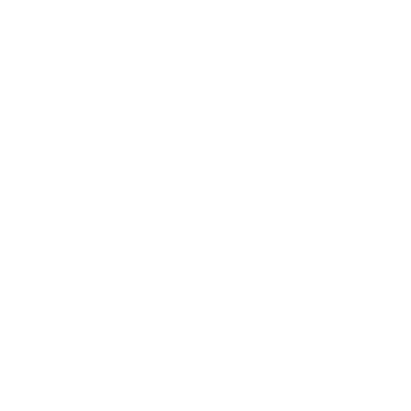 Triumph Motorcycles